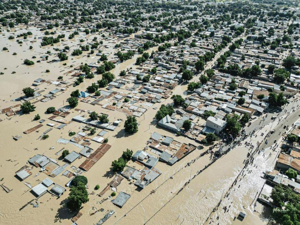 Borno Floods